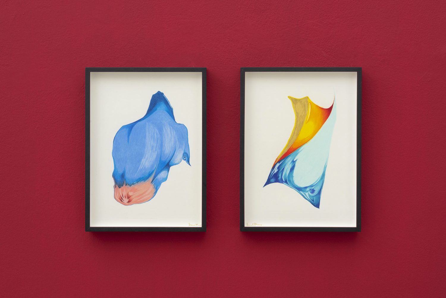 Solo show