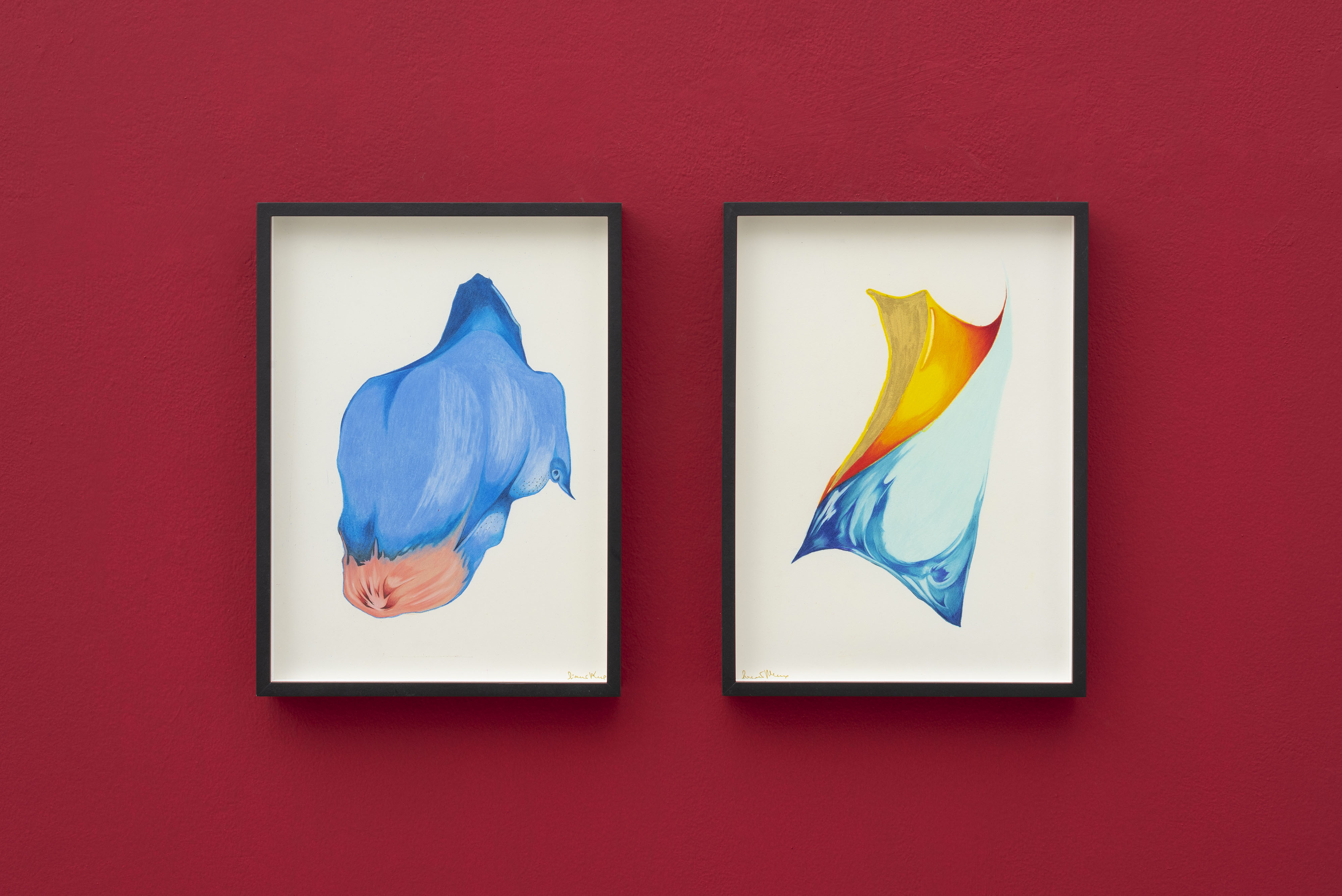 Solo show