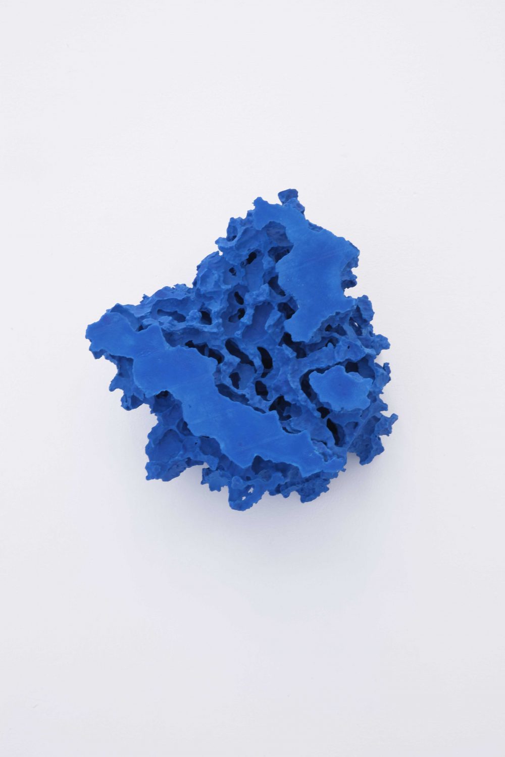 Florian Roithmayr