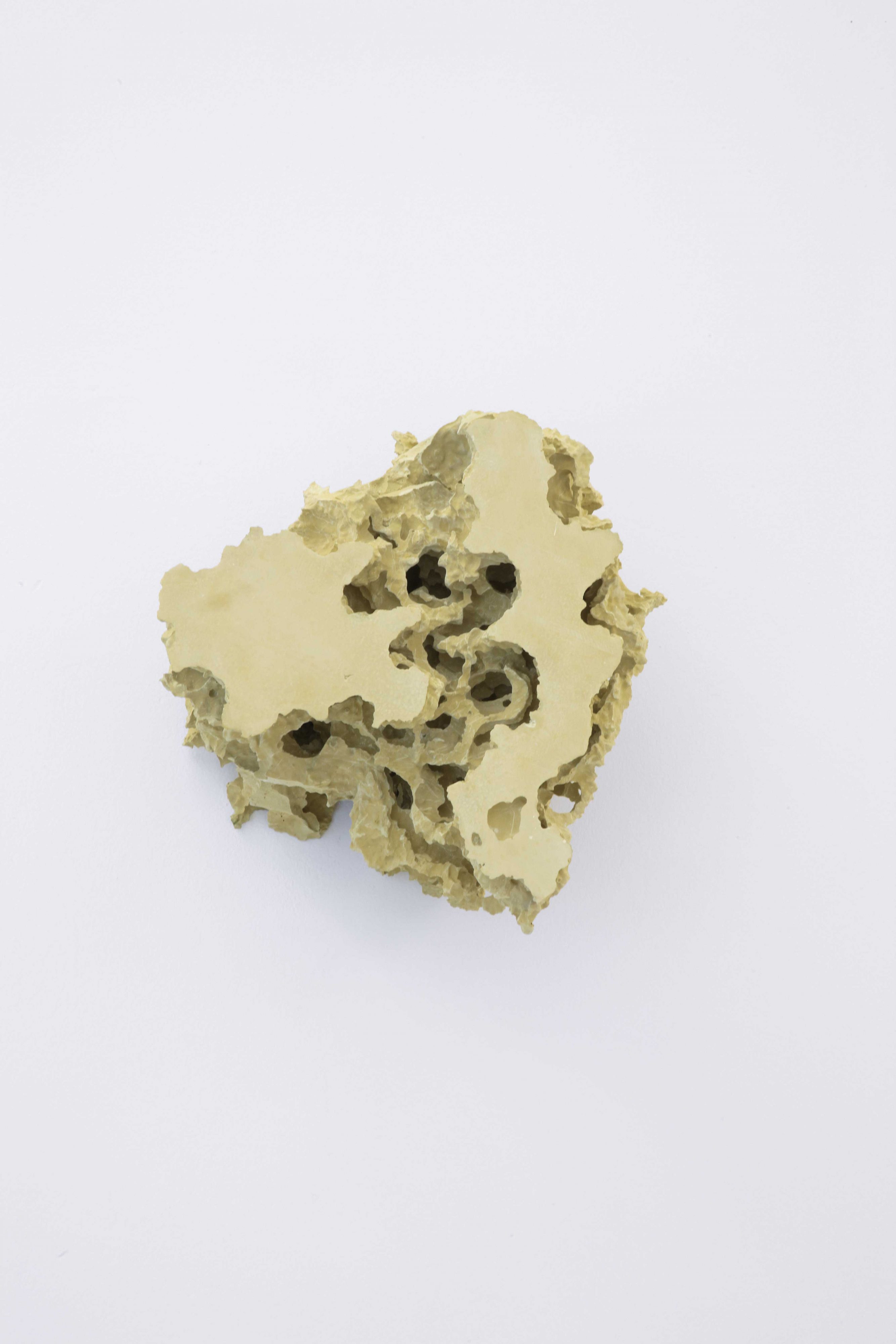 Florian Roithmayr