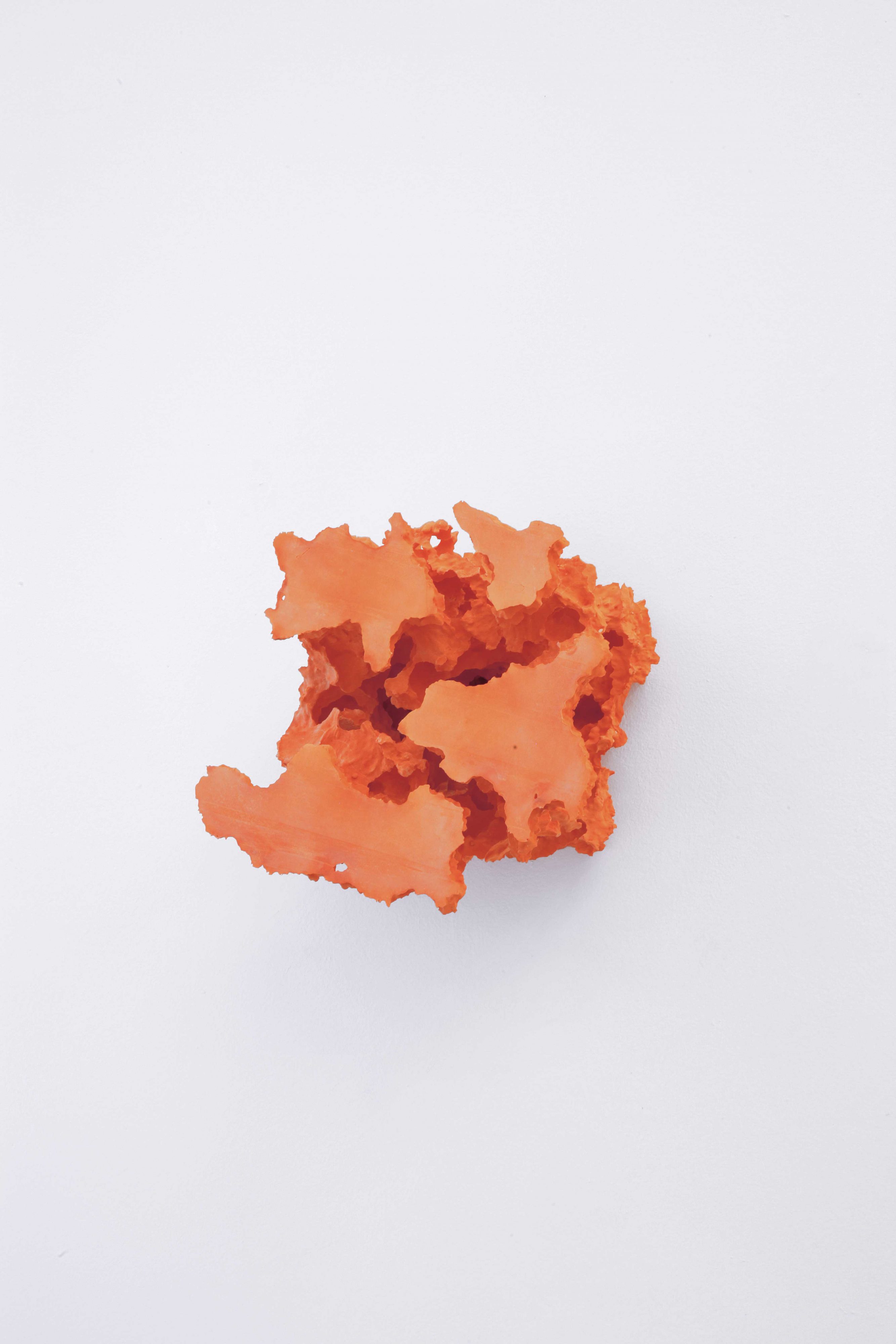 Florian Roithmayr