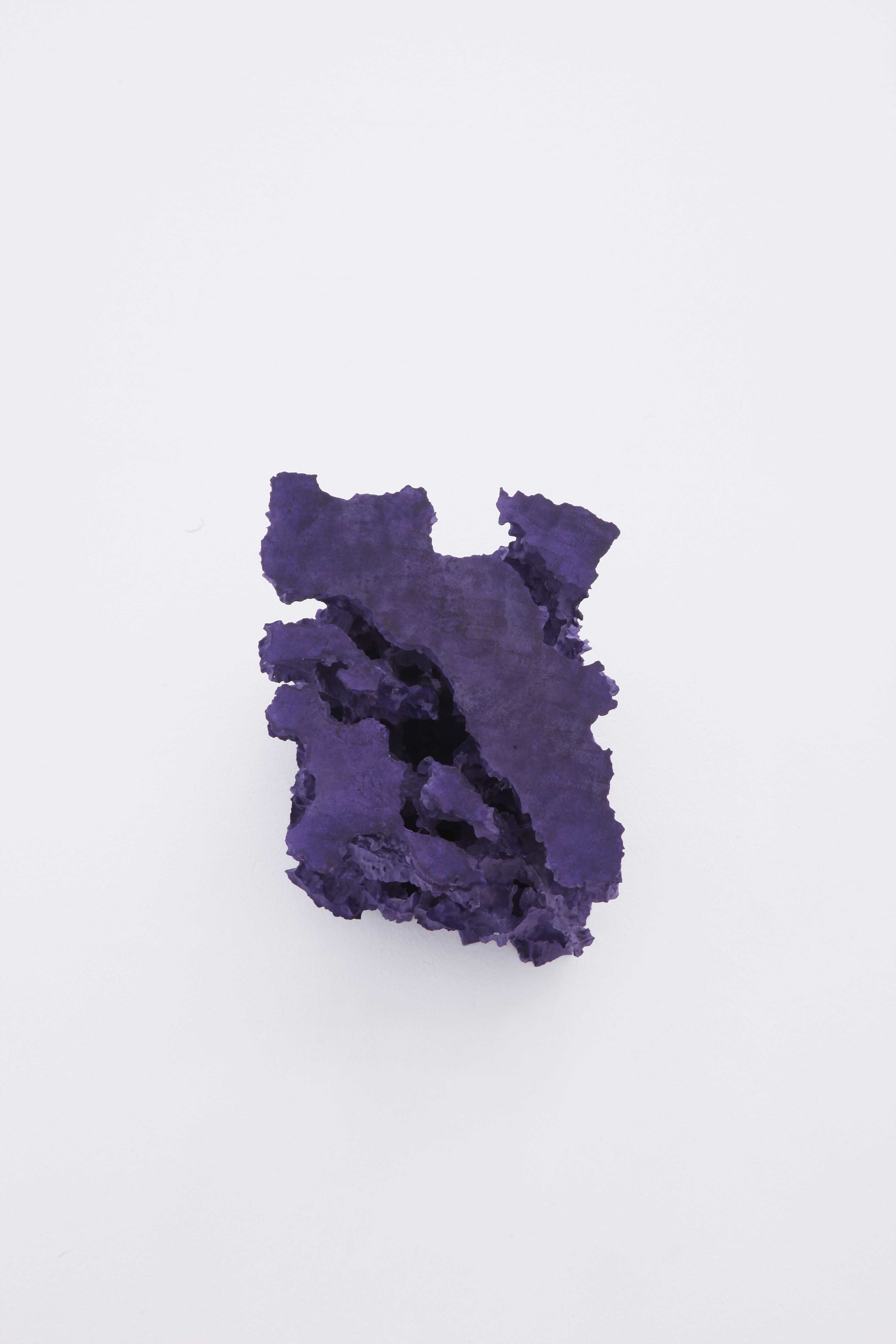 Florian Roithmayr