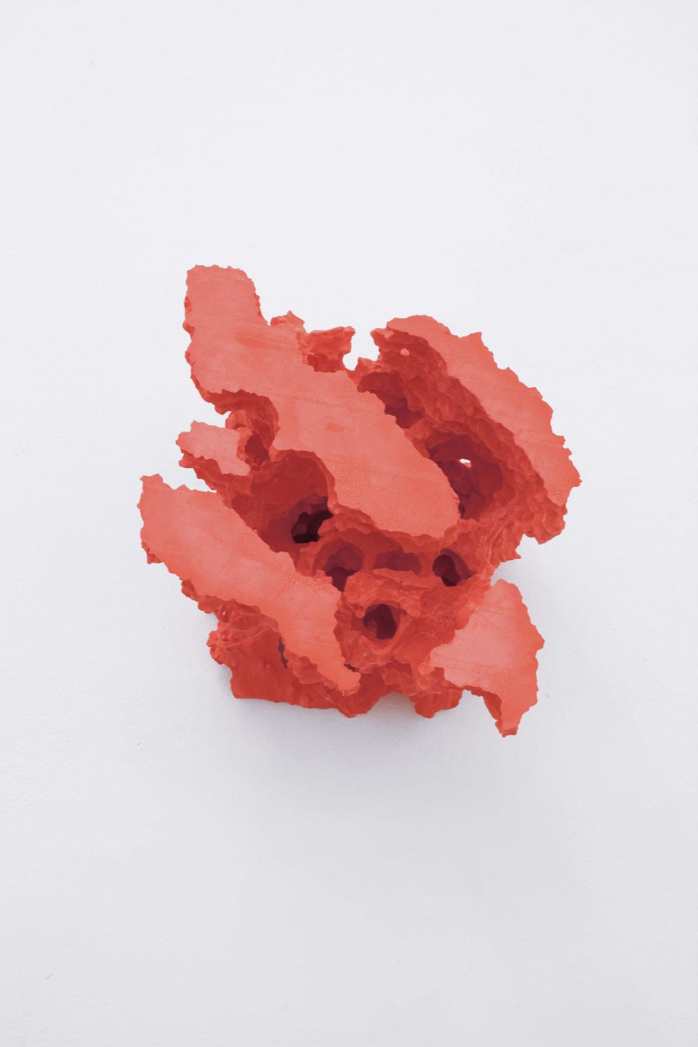 Florian Roithmayr