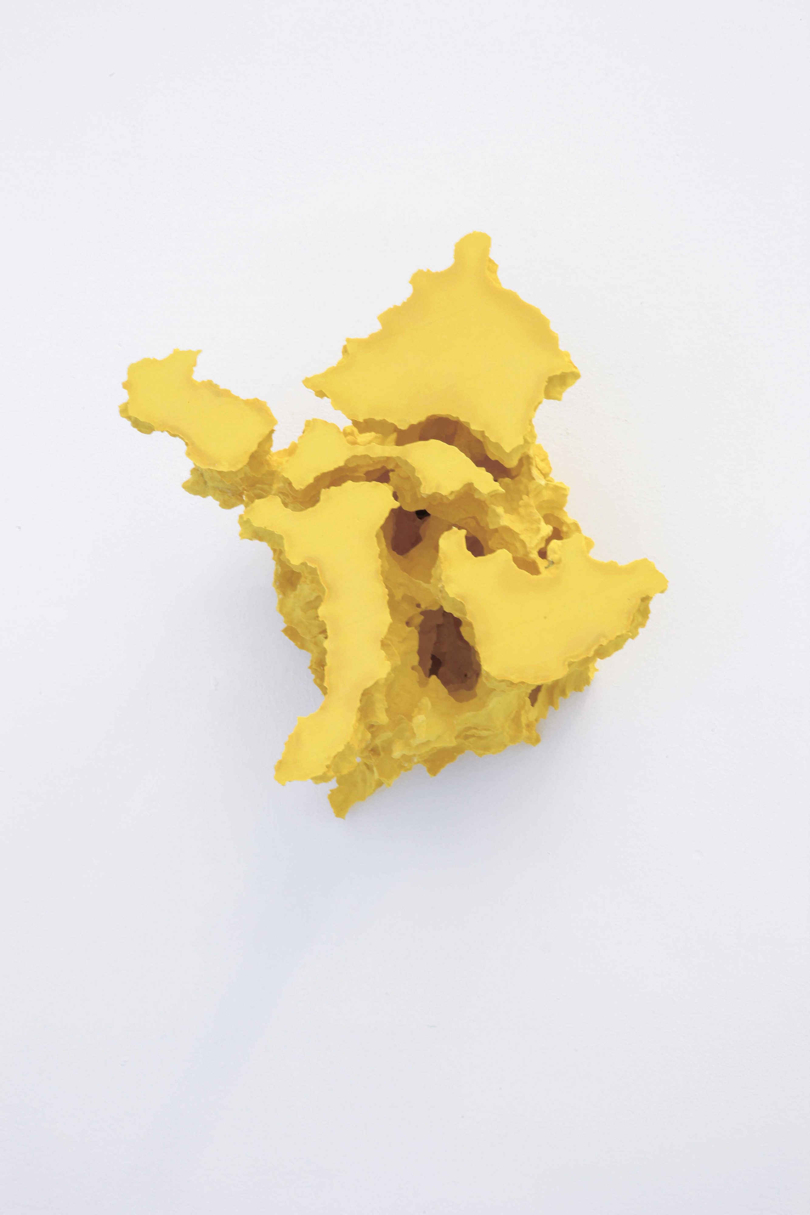 Florian Roithmayr