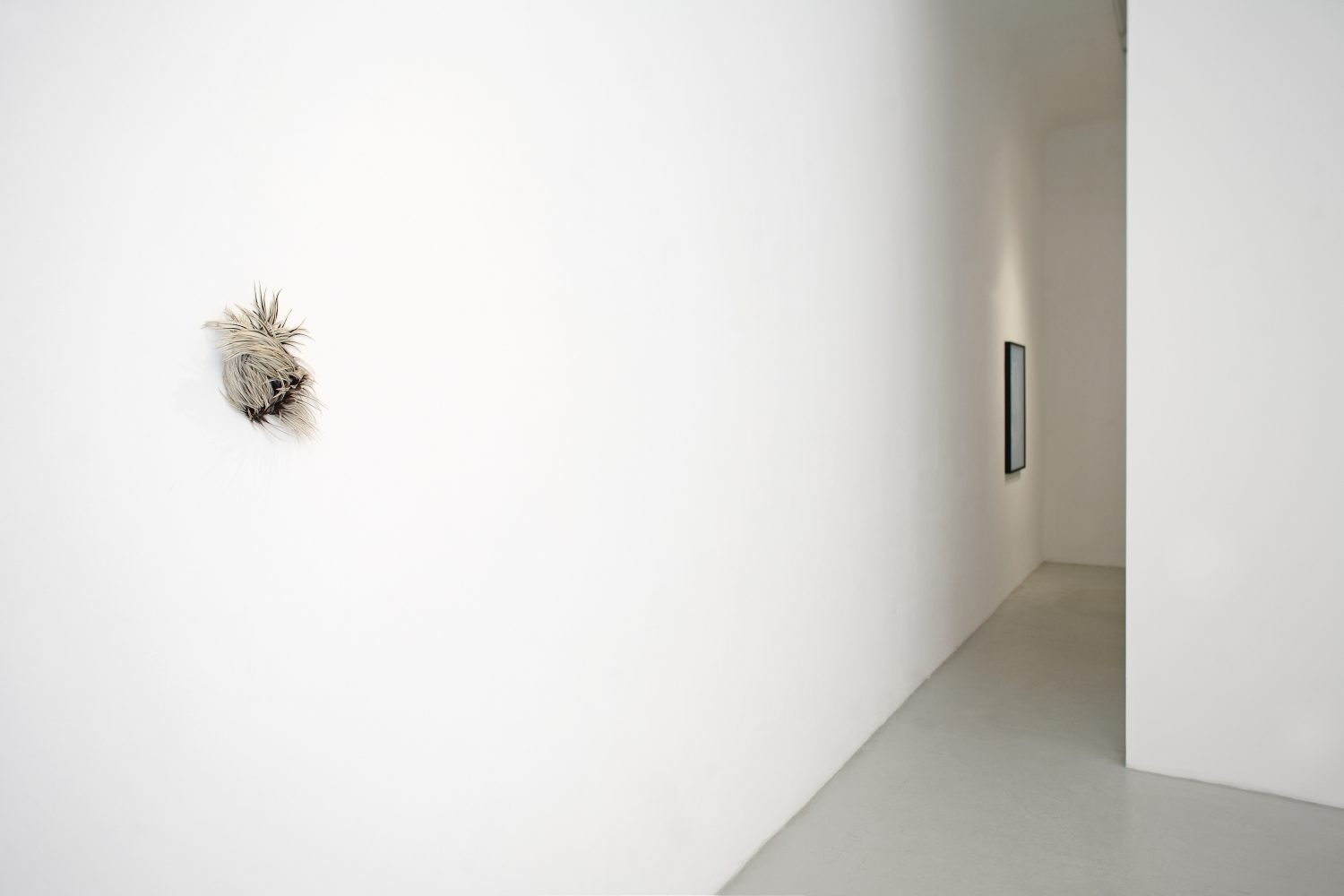 Solo show