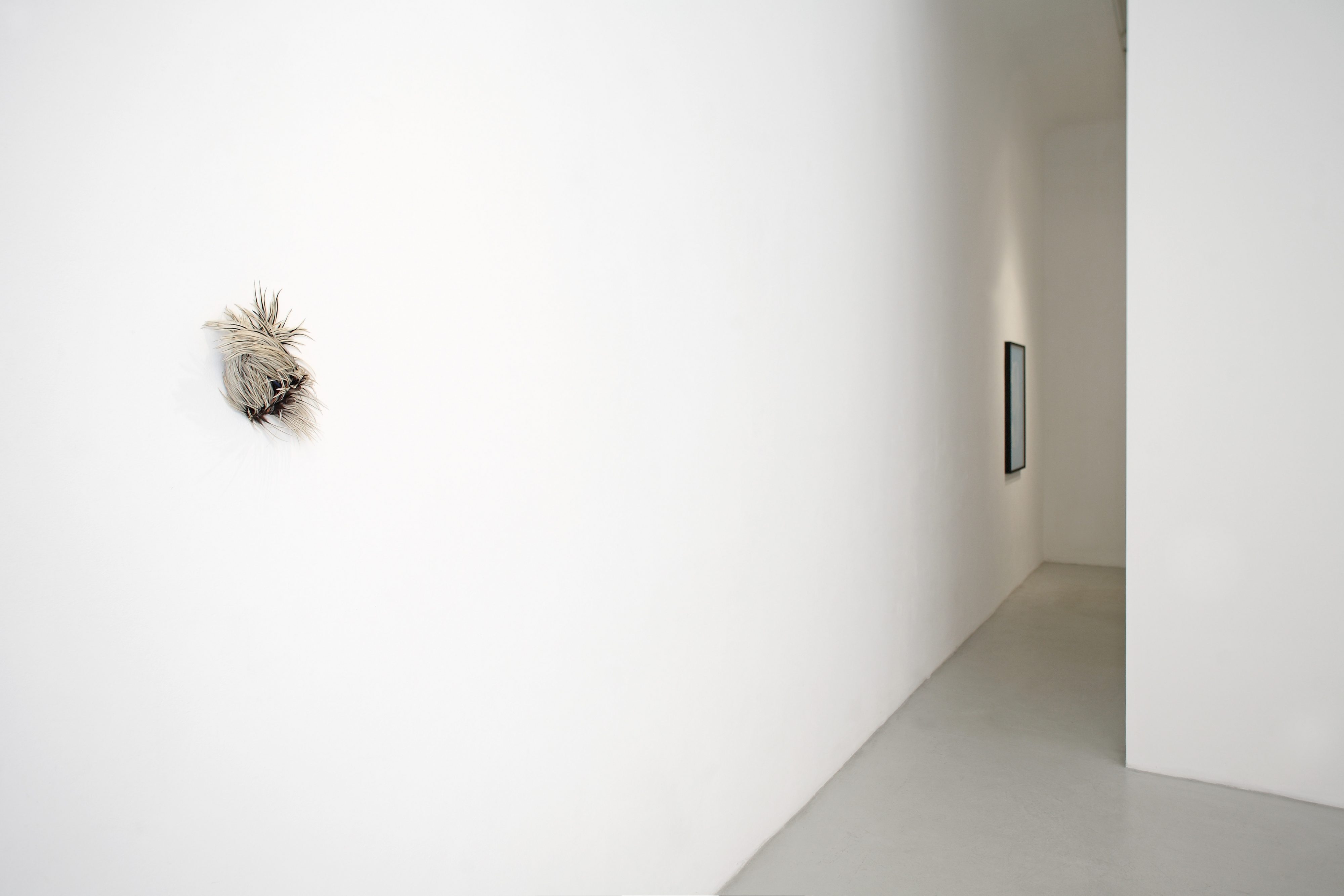 Solo show