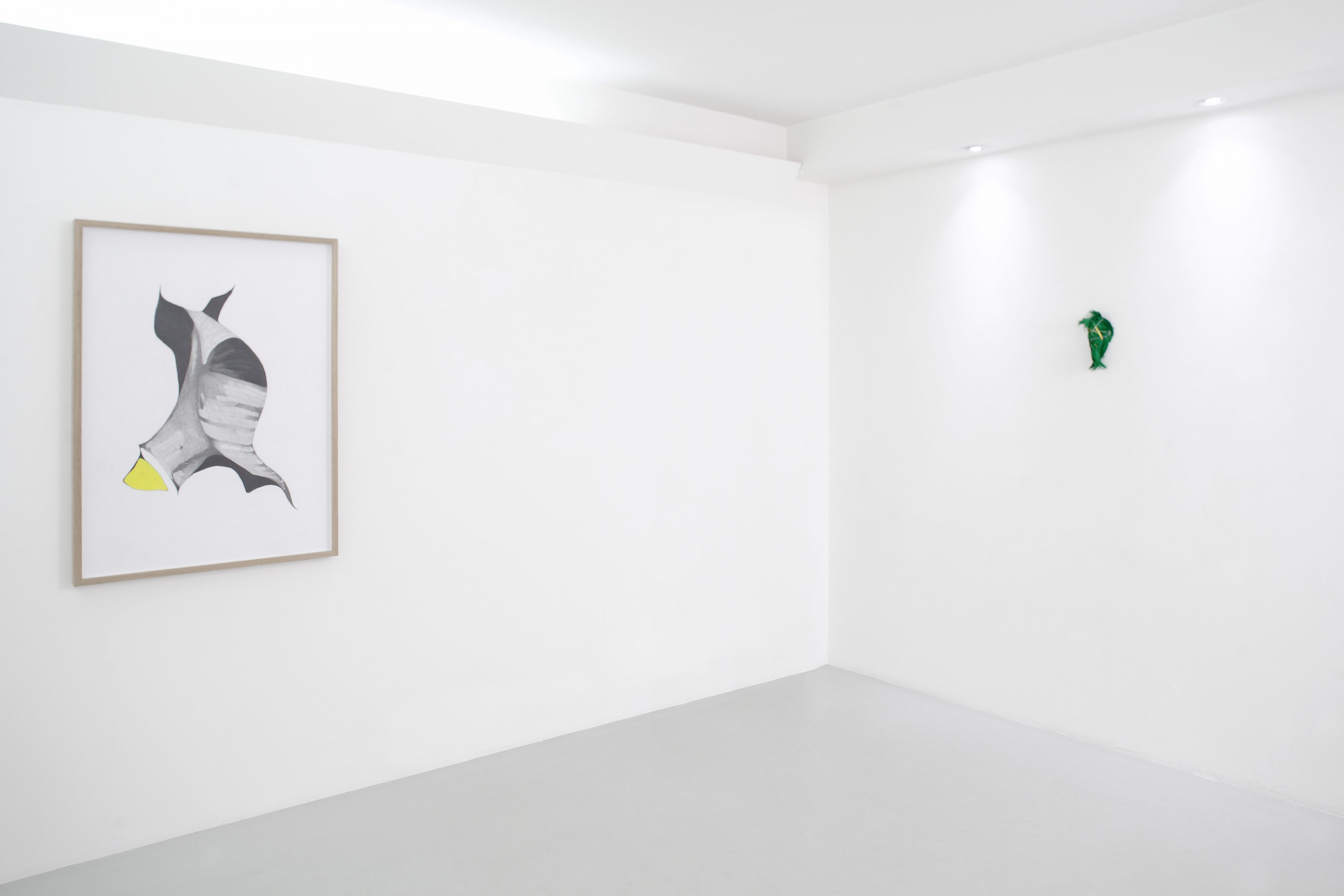 Solo show