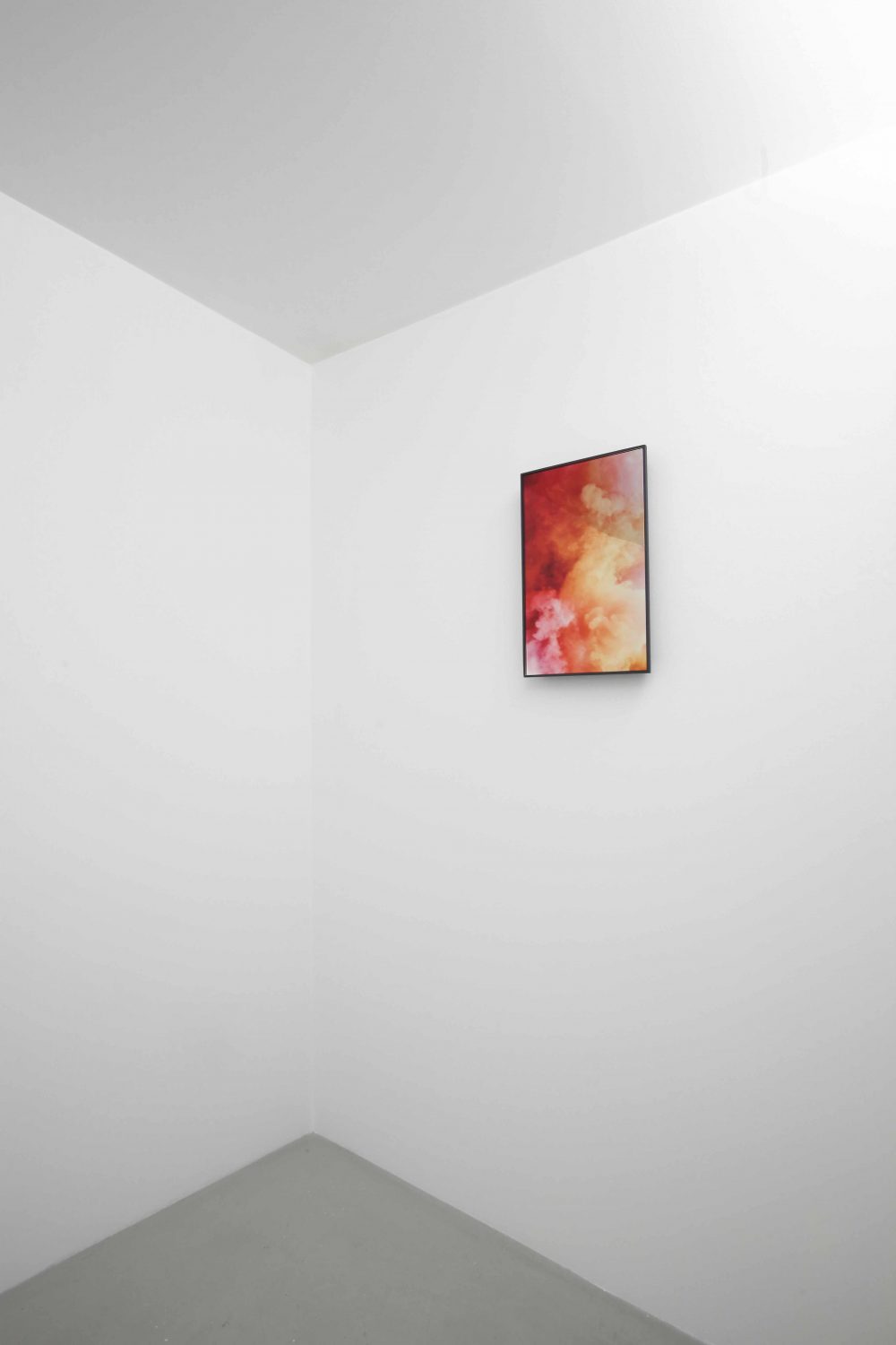 Untitled Views