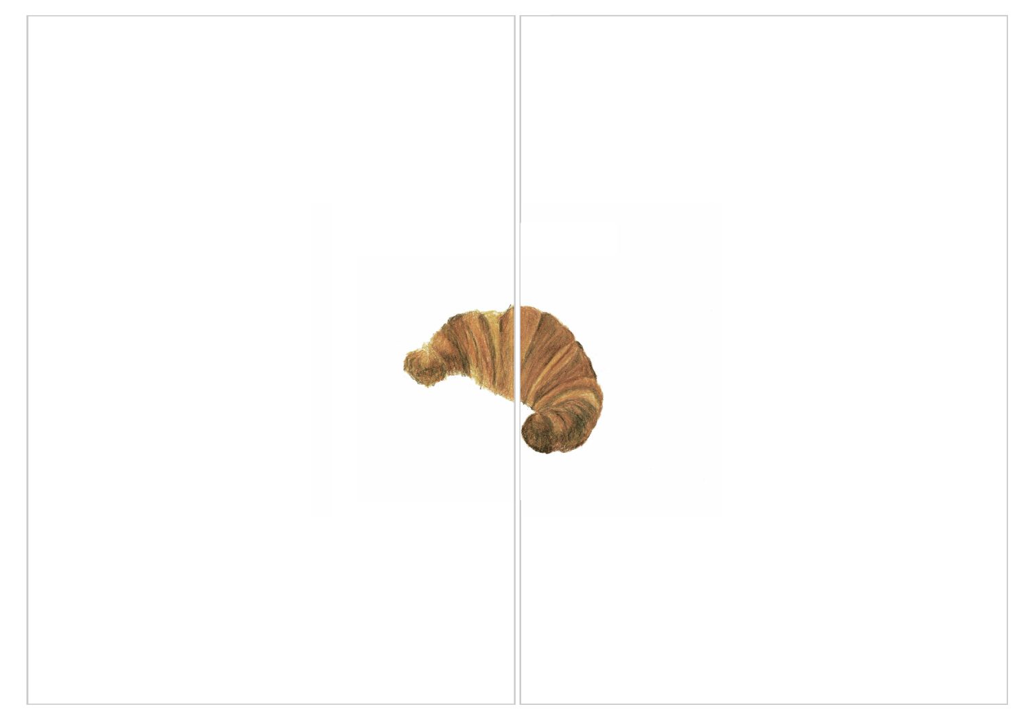 Contorno