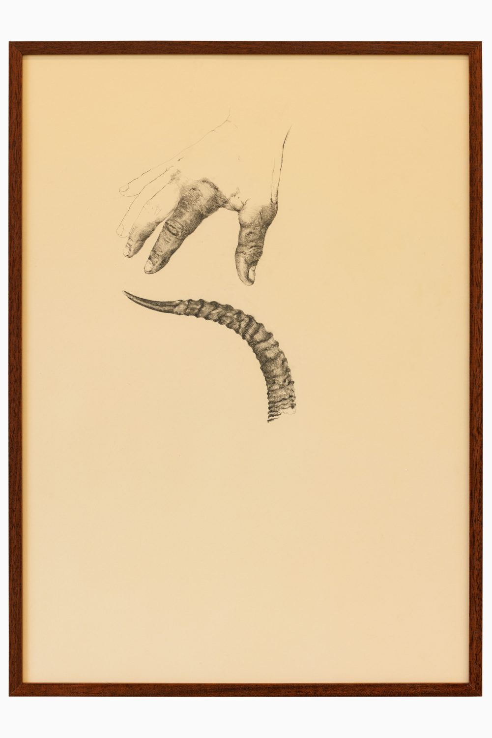 Matilde Sambo
